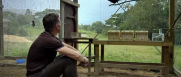 English video lesson: Problem-solving Crow. Listening comprehension, vocabulary, grammar: tenses (present simple / past simple / present continuous / present perfect)