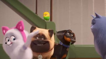 English video lesson: How to act like a cat. Listening comprehension, vocabulary, grammar: short forms (gonna/gotta)