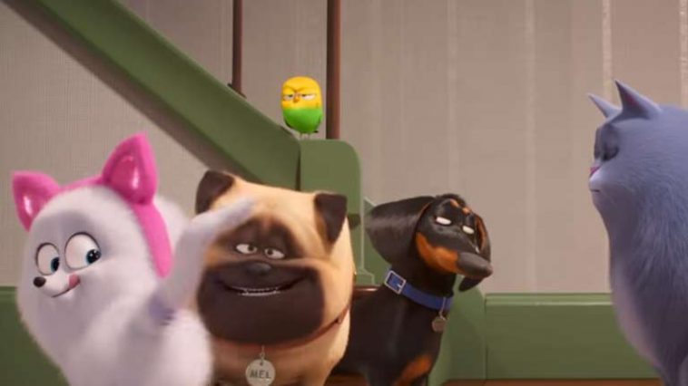 English video lesson: How to act like a cat. Listening comprehension, vocabulary, grammar: short forms (gonna/gotta)