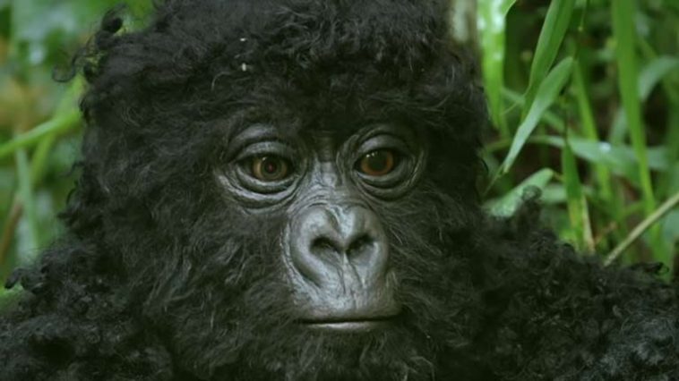 English video lesson: spy gorilla. Listening comprehension, vocabulary, grammar: modal verbs (won't /can / can't /must)