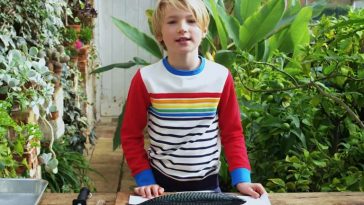 English video lesson: how to fillet a fish. Listening comprehension, vocabulary, grammar: phrasal verbs