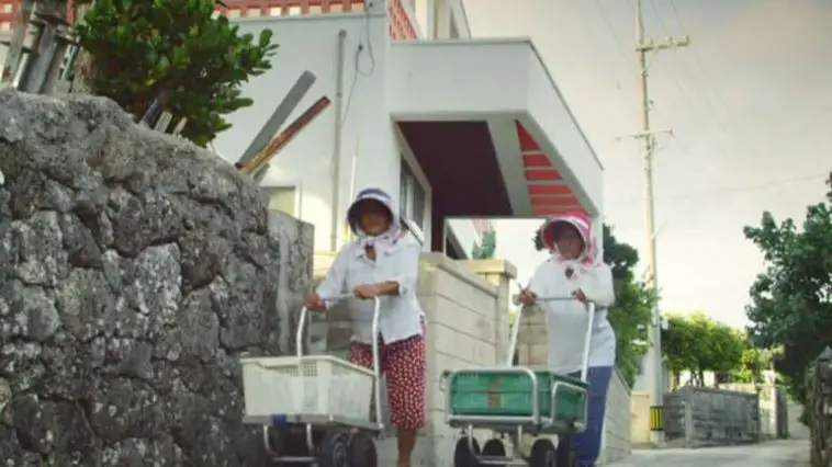 English video lesson: Old woman sea snake hunter. Listening comprehension, vocabulary, grammar: present participle (ing)