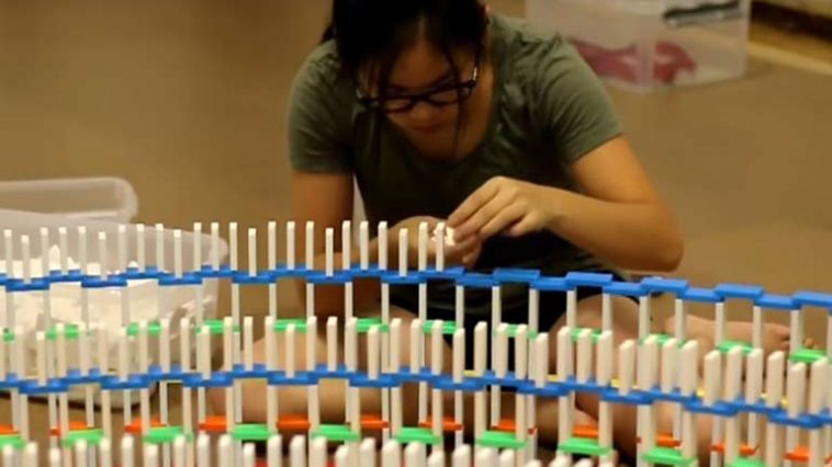 English video lesson: Domino Artist. Listening comprehension, vocabulary, grammar: almost / the most